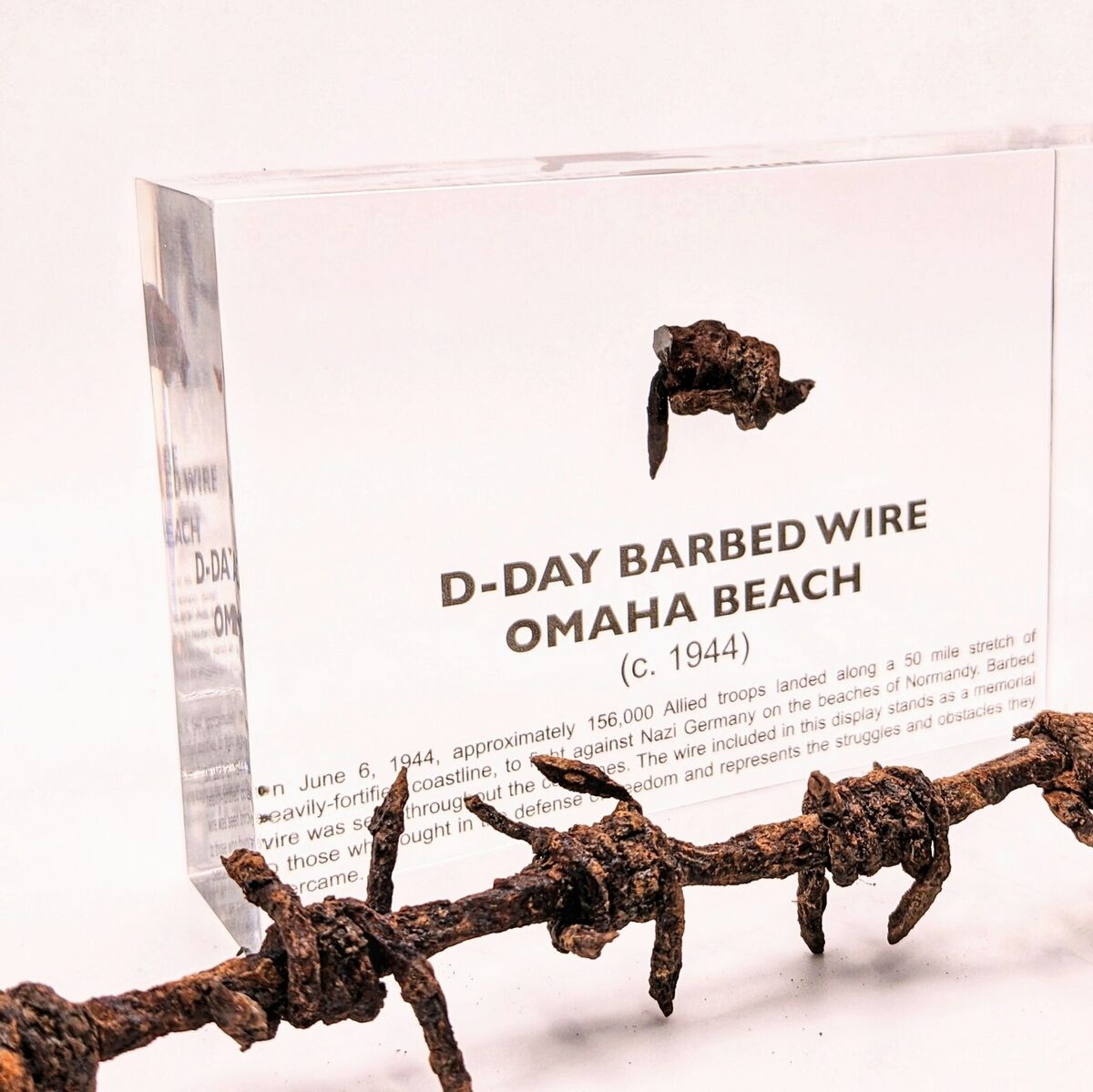 Authentic D-DAY Barbed Wire from Omaha Beach – 11Bravos.com